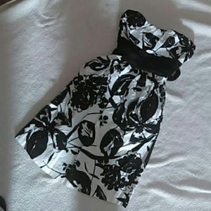 NWOT Speechless dress